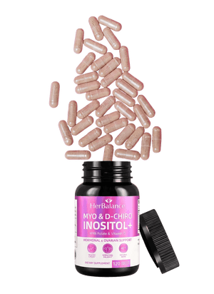 Primal Queen Product